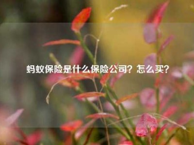 蚂蚁保险是什么保险公司？怎么买？