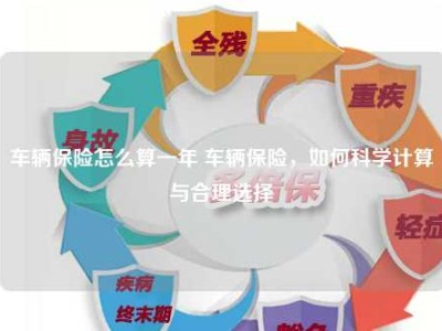 车辆保险怎么算一年 车辆保险，如何科学计算与合理选择