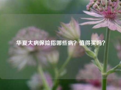 华夏大病保险指哪些病？值得买吗？