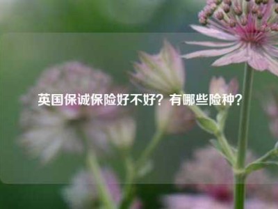 英国保诚保险好不好？有哪些险种？