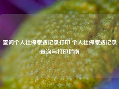 查询个人社保缴费记录打印 个人社保缴费记录查询与打印指南