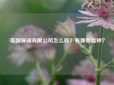 英国保诚有限公司怎么样？有哪些险种？