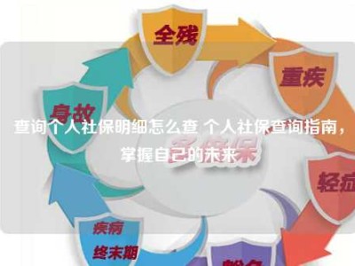 查询个人社保明细怎么查 个人社保查询指南，掌握自己的未来