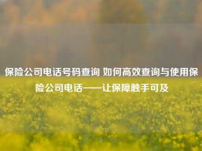 保险公司电话号码查询 如何高效查询与使用保险公司电话——让保障触手可及