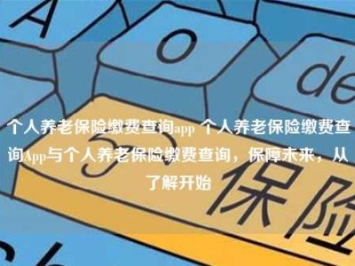 个人养老保险缴费查询app 个人养老保险缴费查询App与个人养老保险缴费查询，保障未来，从了解开始