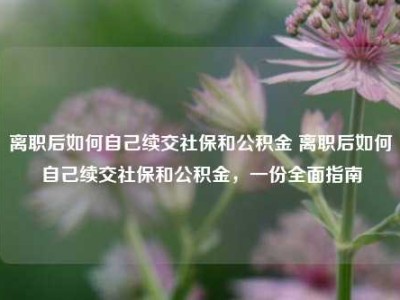 离职后如何自己续交社保和公积金 离职后如何自己续交社保和公积金，一份全面指南