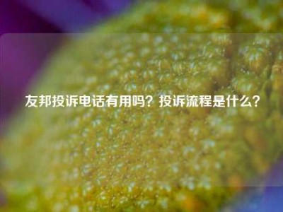 友邦投诉电话有用吗？投诉流程是什么？