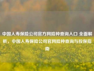 中国人寿保险公司官方网险种查询入口 全面解析，中国人寿保险公司官网险种查询与投保指南