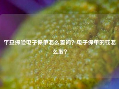 平安保险电子保单怎么查询？电子保单的钱怎么取？