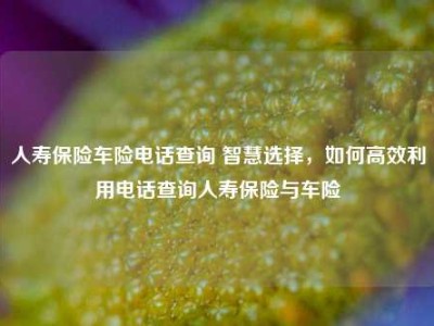 人寿保险车险电话查询 智慧选择，如何高效利用电话查询人寿保险与车险