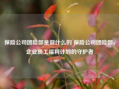 保险公司团险部是做什么的 保险公司团险部，企业员工福利计划的守护者