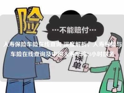 人寿保险车险在线查询 深度解析，人寿保险与车险在线查询及中国人寿车险24小时服务