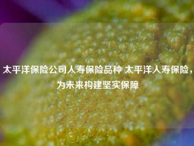 太平洋保险公司人寿保险品种 太平洋人寿保险，为未来构建坚实保障