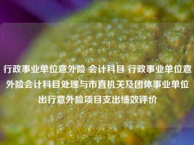 行政事业单位意外险 会计科目 行政事业单位意外险会计科目处理与市直机关及团体事业单位出行意外险项目支出绩效评价