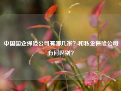 中国国企保险公司有哪几家？和私企保险公司有何区别？