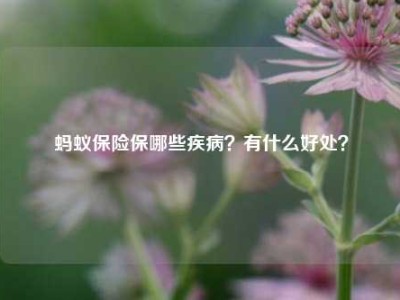 蚂蚁保险保哪些疾病？有什么好处？