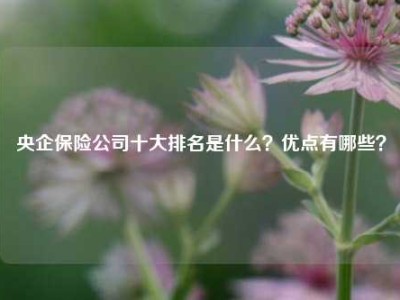 央企保险公司十大排名是什么？优点有哪些？