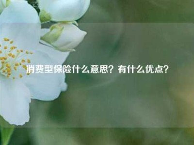 消费型保险什么意思？有什么优点？