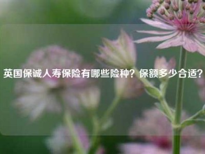 英国保诚人寿保险有哪些险种？保额多少合适？