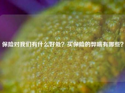 保险对我们有什么好处？买保险的弊端有哪些？