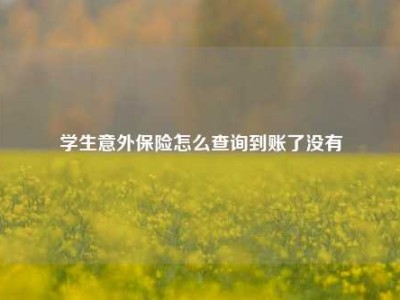 学生意外保险怎么查询到账了没有