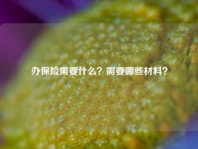 办保险需要什么？需要哪些材料？