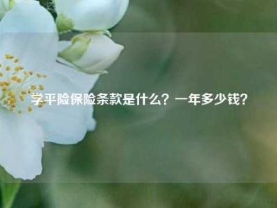 学平险保险条款是什么？一年多少钱？