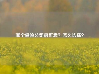 哪个保险公司最可靠？怎么选择？