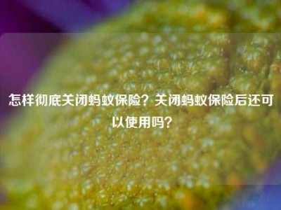 怎样彻底关闭蚂蚁保险？关闭蚂蚁保险后还可以使用吗？