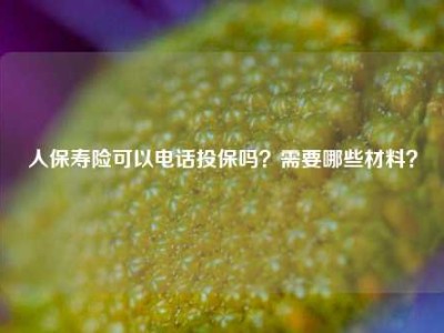 人保寿险可以电话投保吗？需要哪些材料？