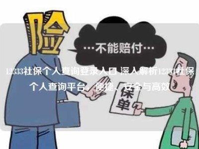 12333社保个人查询登录入口 深入解析12333社保个人查询平台，便捷、安全与高效