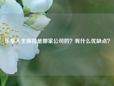 乐享人生保险是哪家公司的？有什么优缺点？