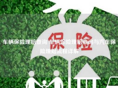 车辆保险理赔查询 车辆保险理赔查询与汽车保险理赔流程详解