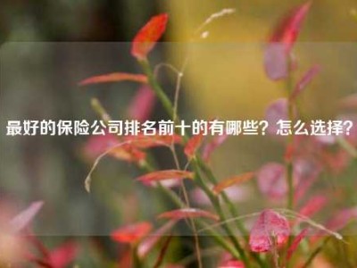 最好的保险公司排名前十的有哪些？怎么选择？