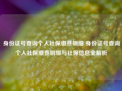 身份证号查询个人社保缴费明细 身份证号查询个人社保缴费明细与社保信息全解析