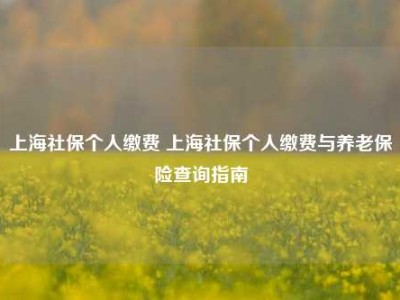 上海社保个人缴费 上海社保个人缴费与养老保险查询指南