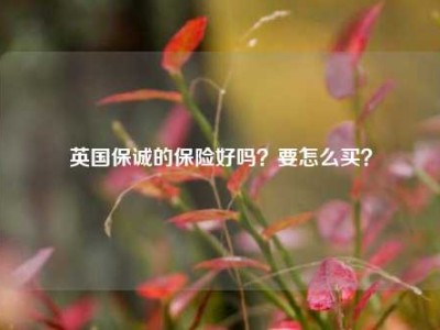 英国保诚的保险好吗？要怎么买？