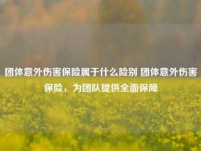 团体意外伤害保险属于什么险别 团体意外伤害保险，为团队提供全面保障