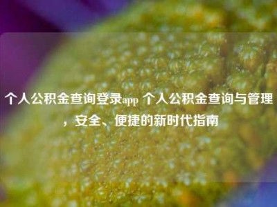 个人公积金查询登录app 个人公积金查询与管理，安全、便捷的新时代指南