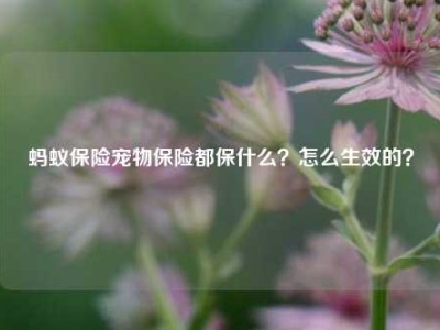 蚂蚁保险宠物保险都保什么？怎么生效的？