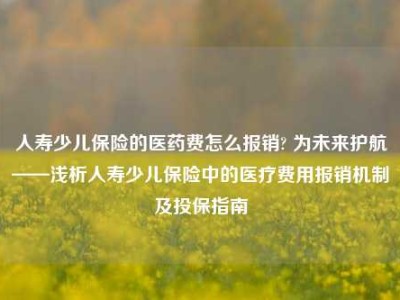 人寿少儿保险的医药费怎么报销? 为未来护航——浅析人寿少儿保险中的医疗费用报销机制及投保指南