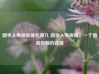 国华人寿保险排名第几 国华人寿保险，一个值得信赖的选择