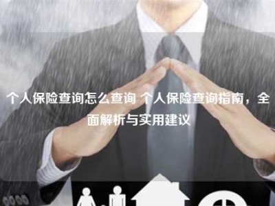 个人保险查询怎么查询 个人保险查询指南，全面解析与实用建议