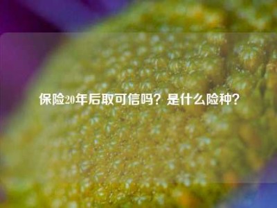 保险20年后取可信吗？是什么险种？