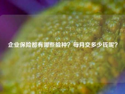 企业保险都有哪些险种？每月交多少钱呢？