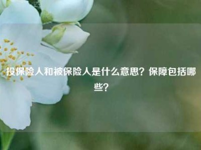 投保险人和被保险人是什么意思？保障包括哪些？