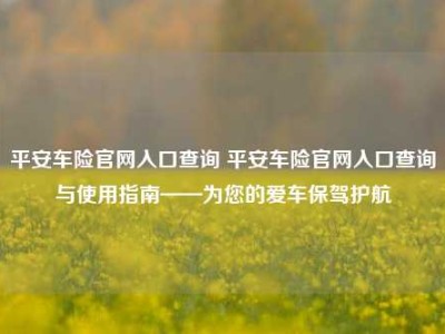 平安车险官网入口查询 平安车险官网入口查询与使用指南——为您的爱车保驾护航