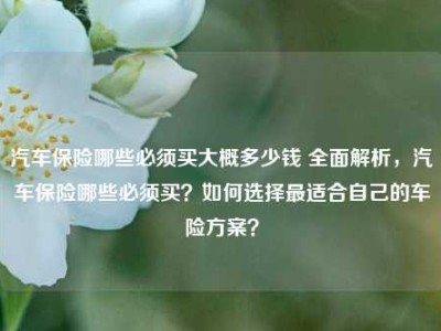 汽车保险哪些必须买大概多少钱 全面解析，汽车保险哪些必须买？如何选择最适合自己的车险方案？