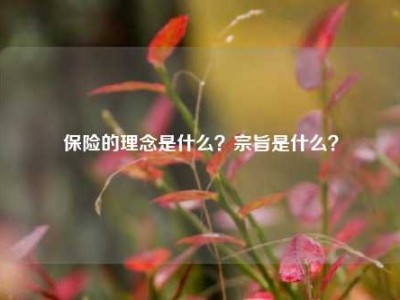 保险的理念是什么？宗旨是什么？