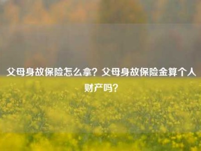 父母身故保险怎么拿？父母身故保险金算个人财产吗？